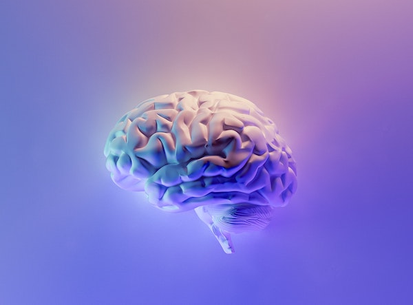 stimulants affect the brain